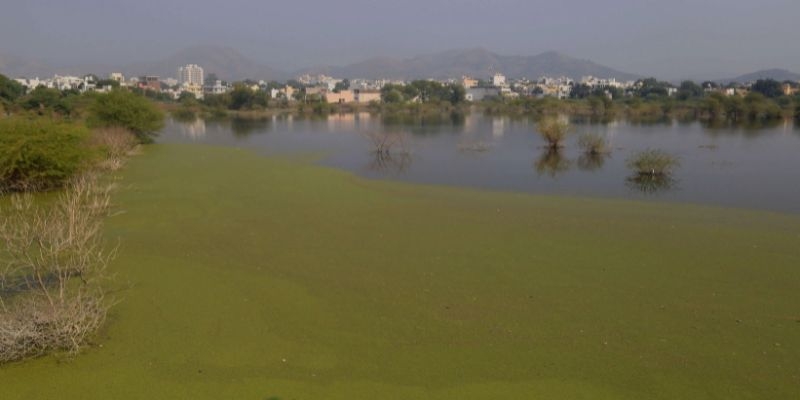  Roopsagar pond